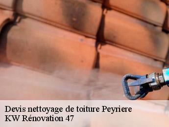 Devis nettoyage de toiture  peyriere-47350 KW Rénovation 47